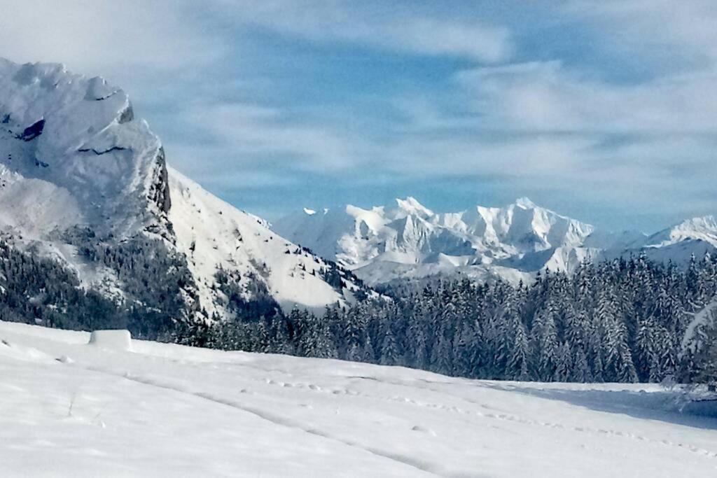 Appartamento La Belle Etoile Manigod Esterno foto